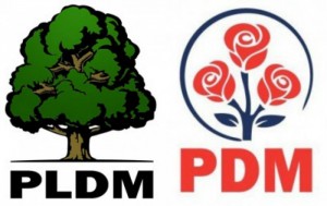 PLDM PD